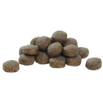 Pro plan 12kg puppy large robust pollo 