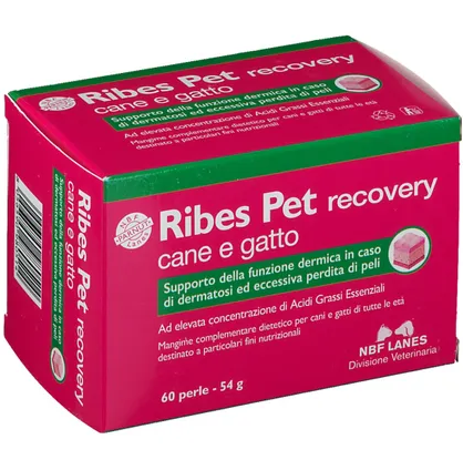 Ribes pet recovery 60 perle 