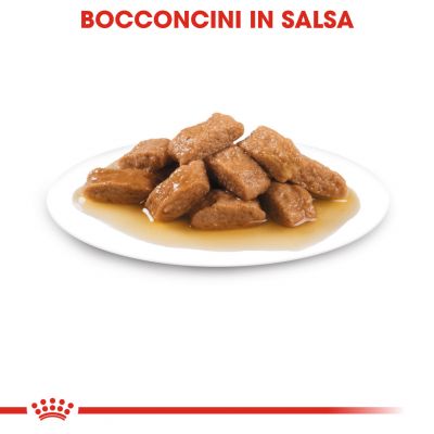 Royal canin bustina 140g medium ageing 10