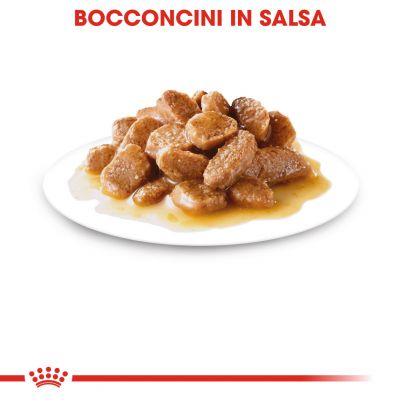Royal canin bustina 85g mini adult