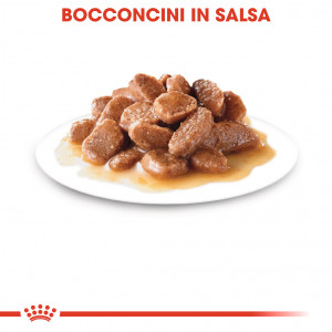 Royal canin cat bustina 85g gravy digest sensitive