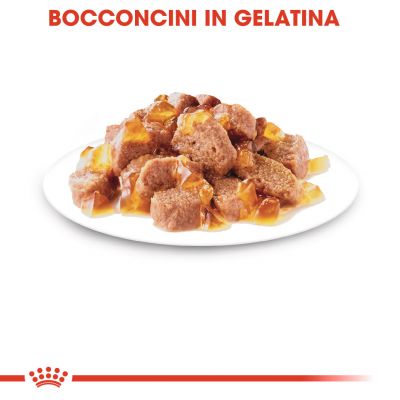 Royal canin cat bustina 85g jelly instinctive 