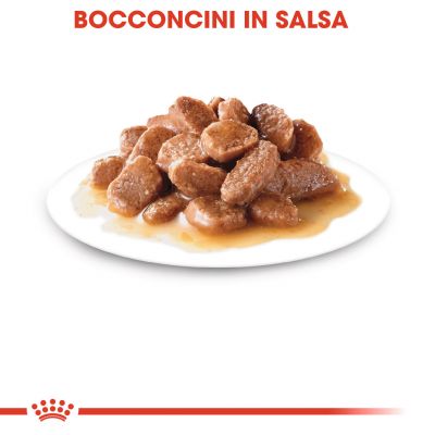 Royal canin cat bustina 85g gravy instinctive 