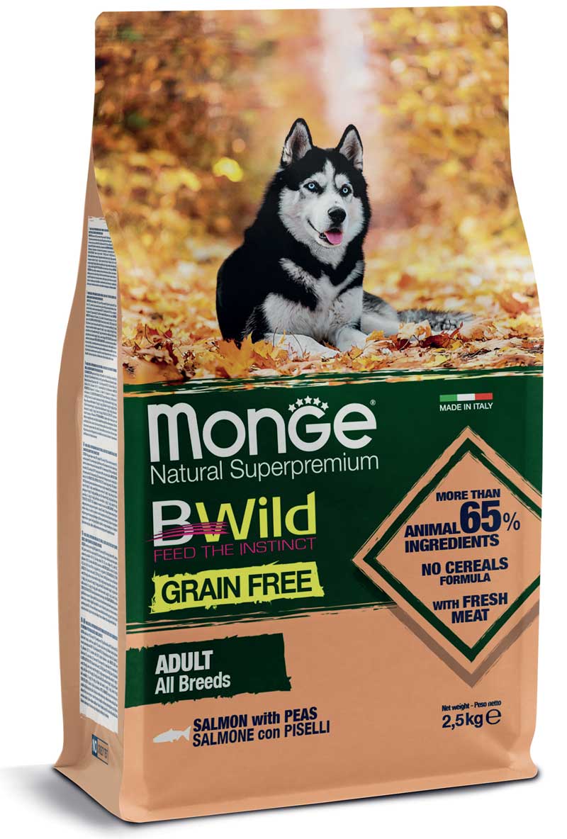 MONGE BWILD GRAIN FREE SALMONE