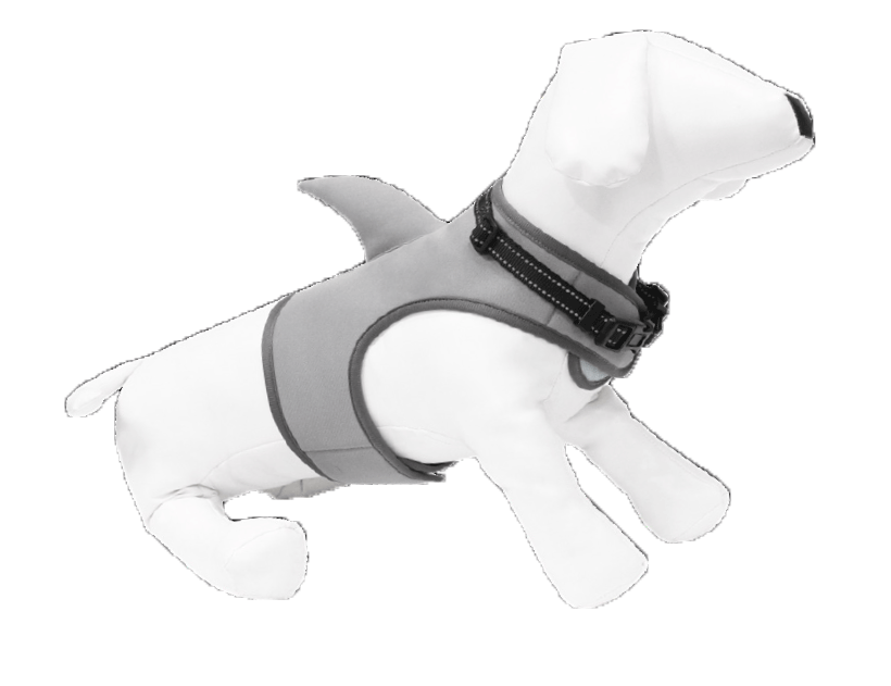 CROCI OCEAN PETTORINA SHARK