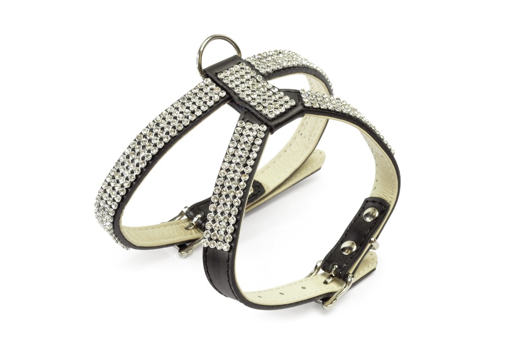 CAMON PETTORINA REGOL STRASS NERA