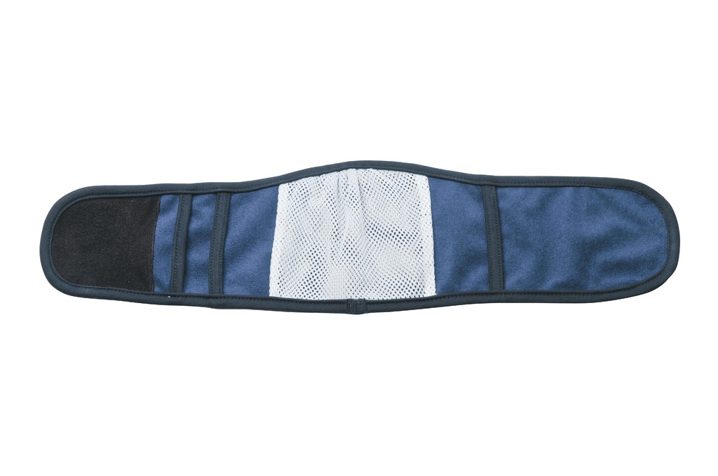 CAMON FASCIA PER CANI MASCHI