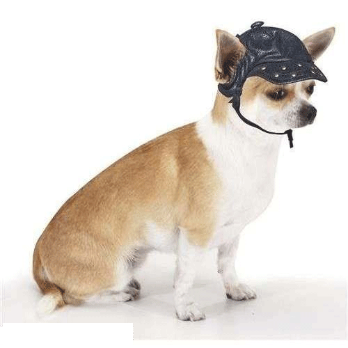CAPPELLO DARK RIDER