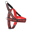 PETTORINA NEOPRENE DYNAMIC
