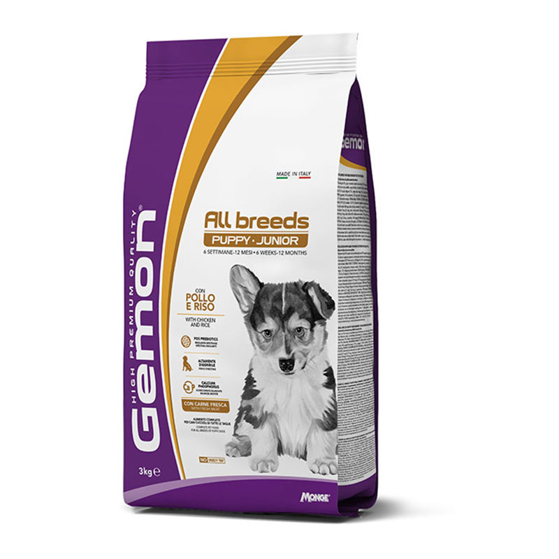 Gemon Dog PuppyJunior Pollo