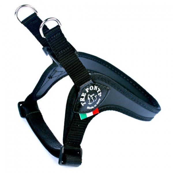 PETTORINA EASYFIT