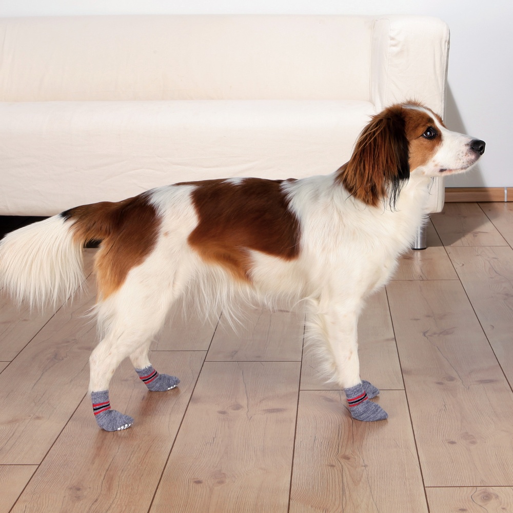 TRIXIE CALZE PER CANI 2PZ XL GRIGIO